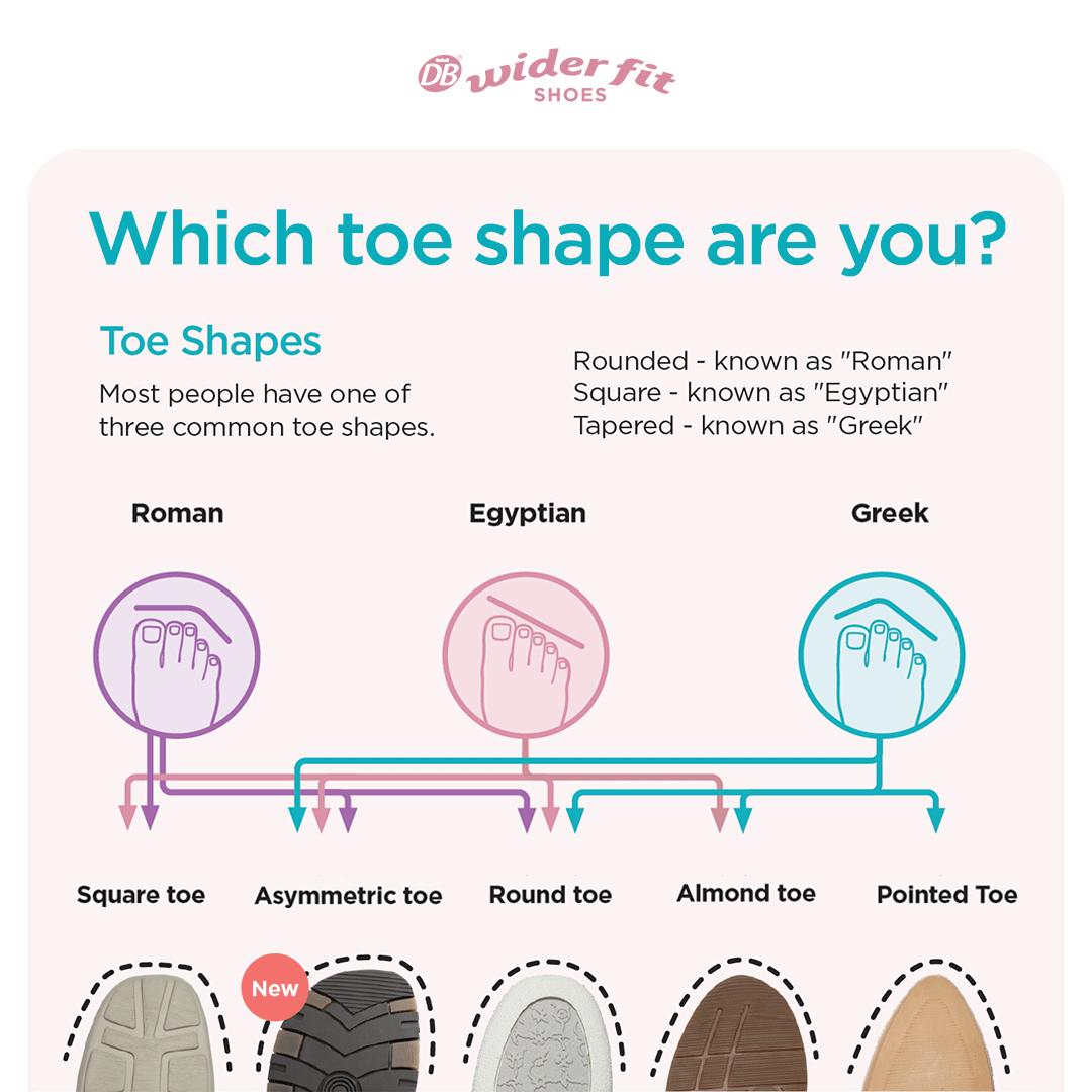 An illustration of different toe shapes