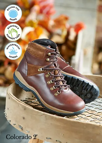A pair of brown walking boots