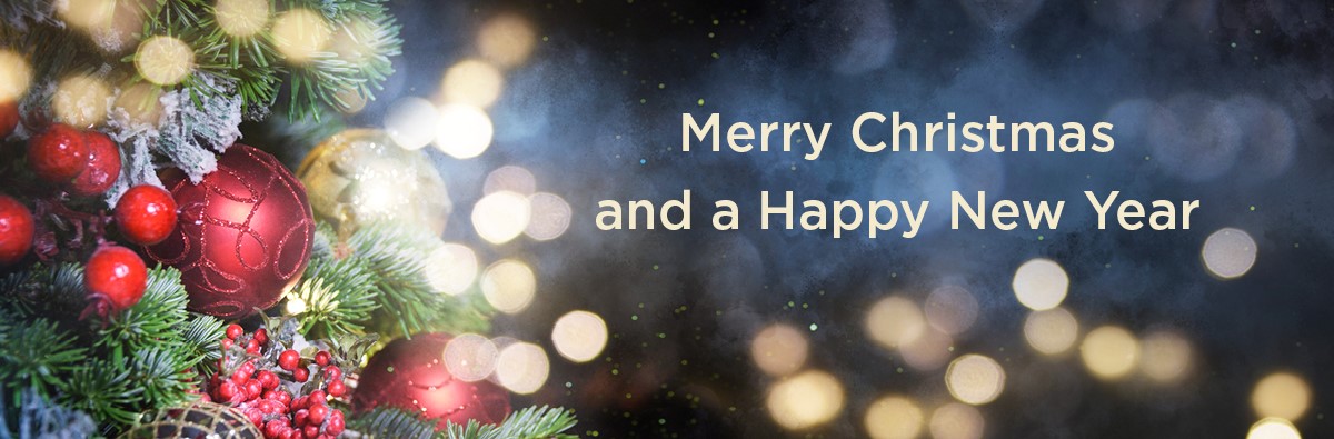 A banner saying merry christmas and a happy new year